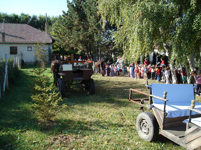 allatok_napja 012